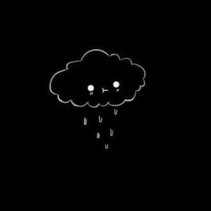 Meet your Posher, Phoenix